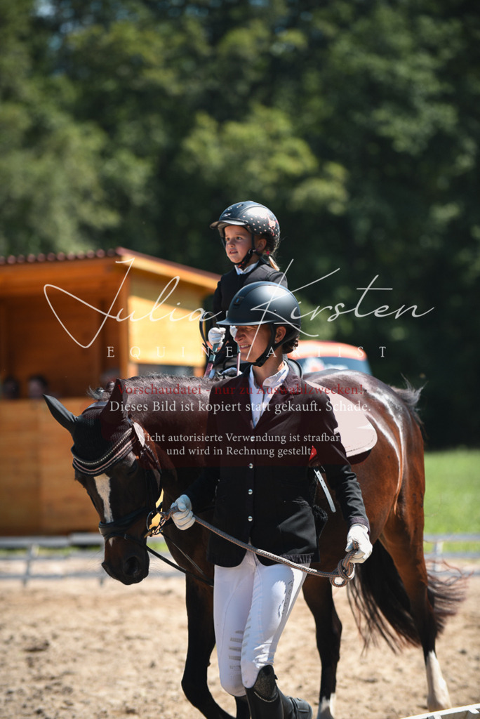 DSC_2076 | Pferde- und Turnierfotografie in Westsachsen. Pferdeportraits, Auftragszeichnungen und intuitive Kunst.
