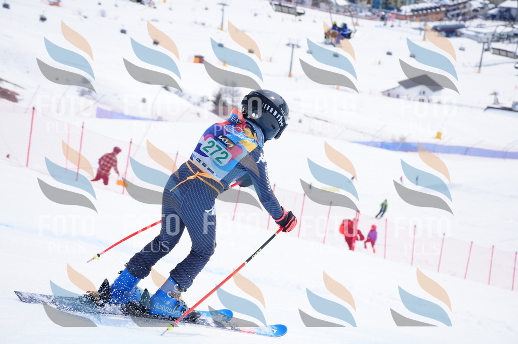 DSC_2607 | holidayphoto