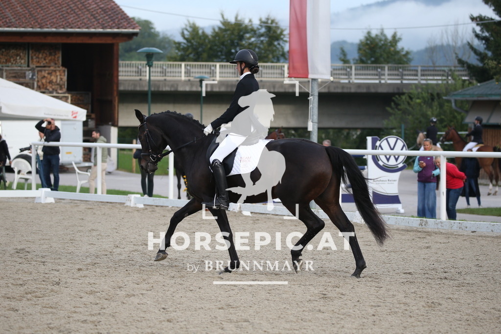 DL2Q1444 | Willkommen bei Brunnmayr - Design & Fotografie – Ihrem Spezialisten für Reitturniere und Pferdeveranstaltungen in Oberösterreich, Salzburg und Bayern! Seit über 17 Jahren sind wir leidenschaftlich dabei.