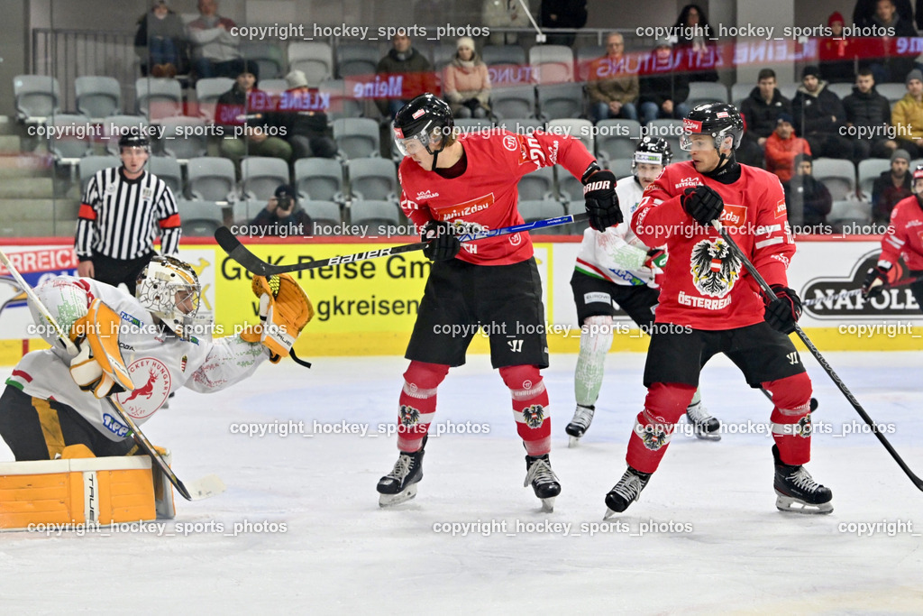 Österreich vs. Ungarn 14.12.2023 | Österreich vs. Ungarn 14.12.2023, Österreich vs. Ungarn  am 14.12.2023 in Klagenfurt (Heidi Horten Arena), Austria, (Photo by Bernd Stefan)