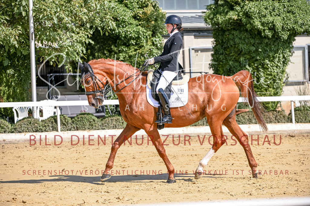 Schugtsche-Aluta25-52.Dressurprf.M2Kand-435 | Schugtsche Fotografie - Realisiert mit Pictrs.com