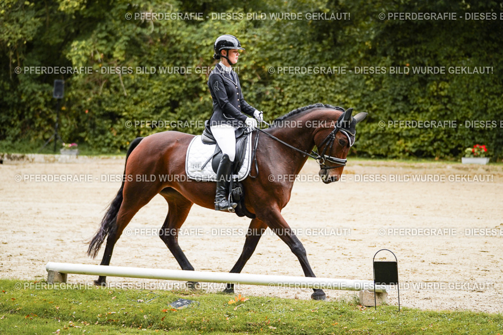 DSC08810 | Pferdegrafie