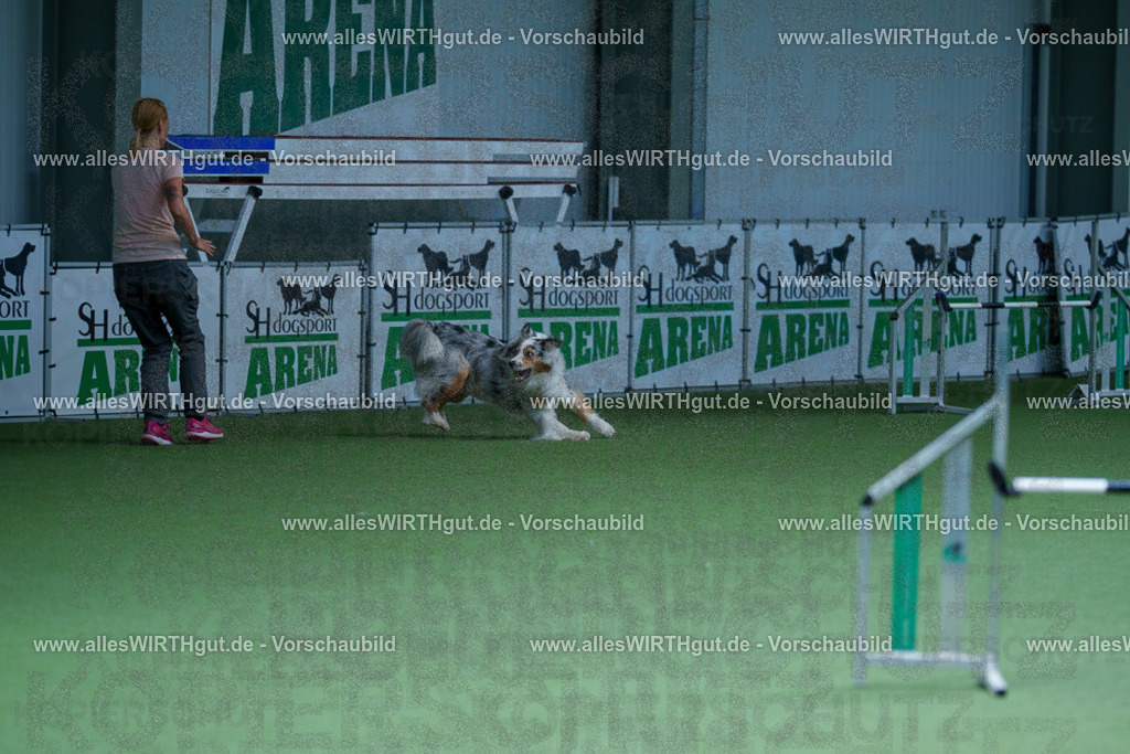 @allesWIRTHgut_Tierfotografie - www.allesWIRTHgut.de - 2604251212-7R501064 | Professionelle Tierfotografie in Mönchengladbach von Daniel Wirth (allesWIRTHgut). Liebevolle & natürliche Bilder von Hunden & Katzen für unvergessliche Erinnerungen.