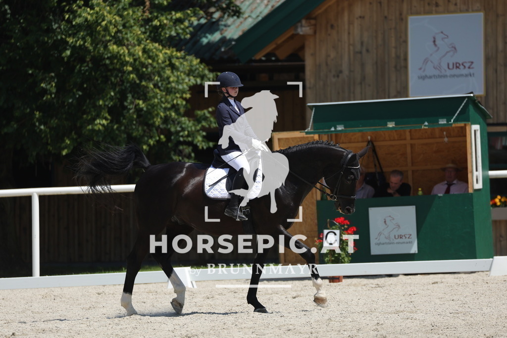 0P6A2240 | Willkommen bei Brunnmayr - Design & Fotografie – Ihrem Spezialisten für Reitturniere und Pferdeveranstaltungen in Oberösterreich, Salzburg und Bayern! Seit über 17 Jahren sind wir leidenschaftlich dabei.