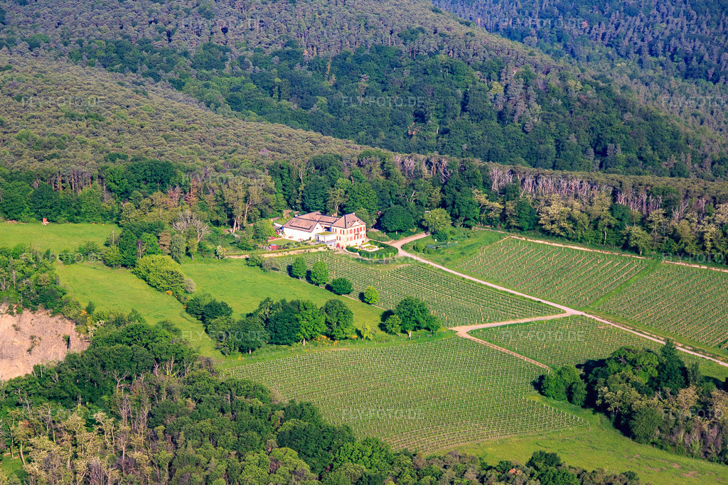 Luftbild: Weingut Odinstal hinterm Basalt-Steinbruch in Wachenheim an der Weinstraße im Bundesland Rheinland-Pfalz in Deutschland. – Foto: IMG_114192.jpg vom 26.05.2019 durch Werner Riehm/FLY-FOTO.de – Auflösung des Originals: 5215 x 3477 px – Weingut Odinstal - Wachenheim an der Weinstraße