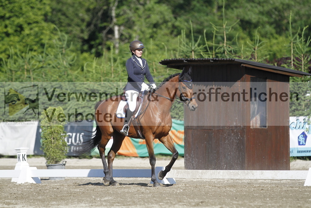 _MG_0582 | equestrian-live-com