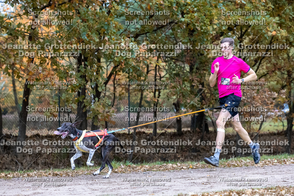 Dog Paparazzi - SD CaniX Championship 2025-122 | Dog Paparazzi Jeanette Grottendiek Fotografie & Videografie - Realisiert mit Pictrs.com