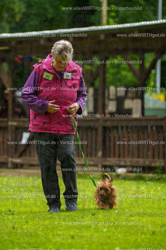 @allesWIRTHgut_Tierfotografie - www.allesWIRTHgut.de - 130813-7R509828 | Professionelle Tierfotografie in Mönchengladbach von Daniel Wirth (allesWIRTHgut). Liebevolle & natürliche Bilder von Hunden & Katzen für unvergessliche Erinnerungen.