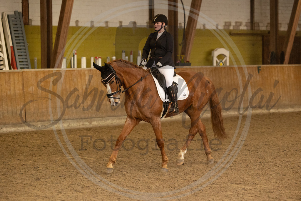 994A9287 | sabrinanicolaifotografie - Realisiert mit Pictrs.com