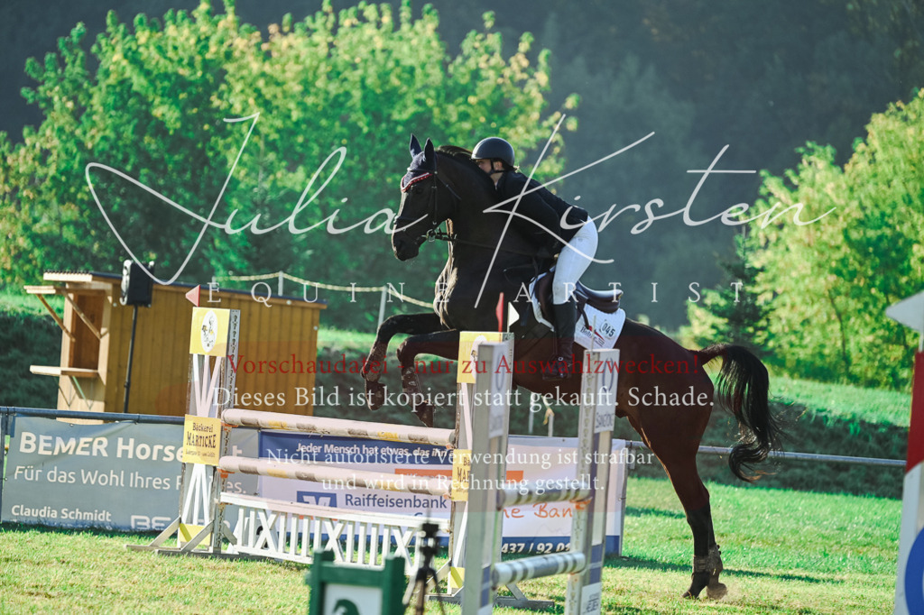 DSC_4381 | Pferde- und Turnierfotografie in Westsachsen. Pferdeportraits, Auftragszeichnungen und intuitive Kunst.