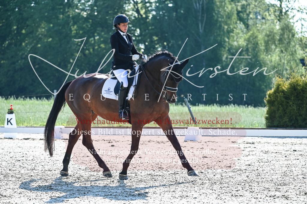 20230514_JK-Röhrsdorf-18-105 | Pferde- und Turnierfotografie in Westsachsen. Pferdeportraits, Auftragszeichnungen und intuitive Kunst.