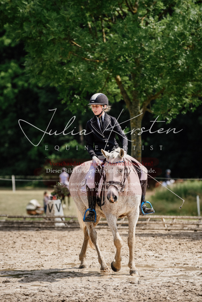 DSC_0571 | Pferde- und Turnierfotografie in Westsachsen. Pferdeportraits, Auftragszeichnungen und intuitive Kunst.