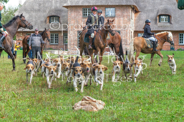 Jagd Perdoel_MarinaHewigDSCF3939 | Fotografie, FotoArt, PferdesportArt, Pferdesportfotografie, Landschaftsfotografie, Reisefotografie, Reise, Pferde - Realisiert mit Pictrs.com