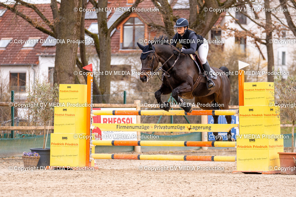 Kranichstein Tag 2-300 | dv-media-shop - Realisiert mit Pictrs.com