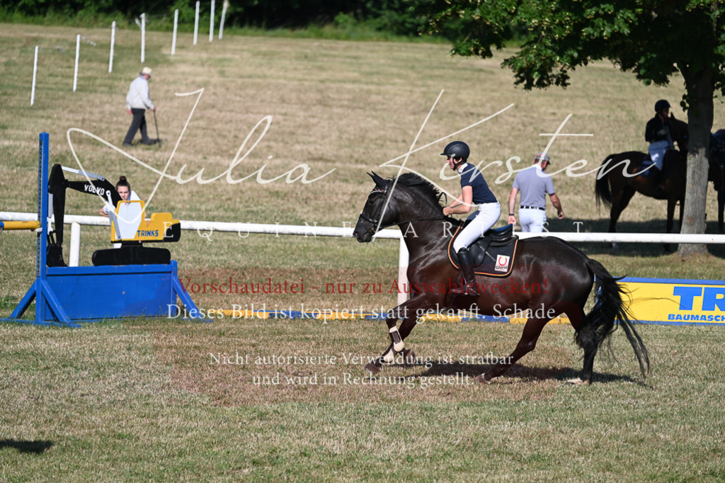 DSC_2543 | Pferde- und Turnierfotografie in Westsachsen. Pferdeportraits, Auftragszeichnungen und intuitive Kunst.