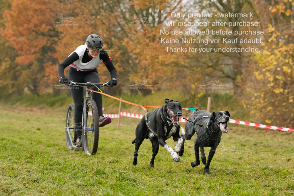 Visbeck_Sa_DS2DR2-46 | stephaniefillaphotographie - Realisiert mit Pictrs.com