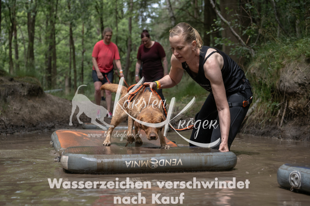 1333_ZZ94600 | kk-dogfotos