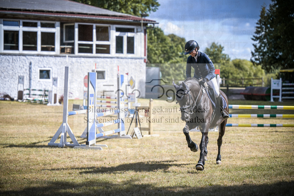 DOS_1291 | Entdecke hochwertige Reitturnierfotos von Foto Oger. Professionell, emotional und authentisch – jetzt Lieblingsmomente im Shop bestellen.Deutschlandweite Turnierfotografie. - Realisiert mit Pictrs.com