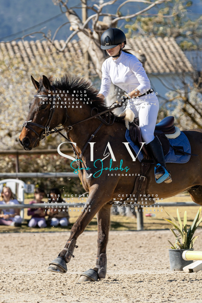 IMG_0611 | s-jay-photography - Realisiert mit Pictrs.com