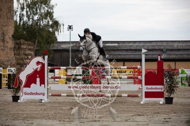 2B4A2460 | pixelfaenger - Realisiert mit Pictrs.com