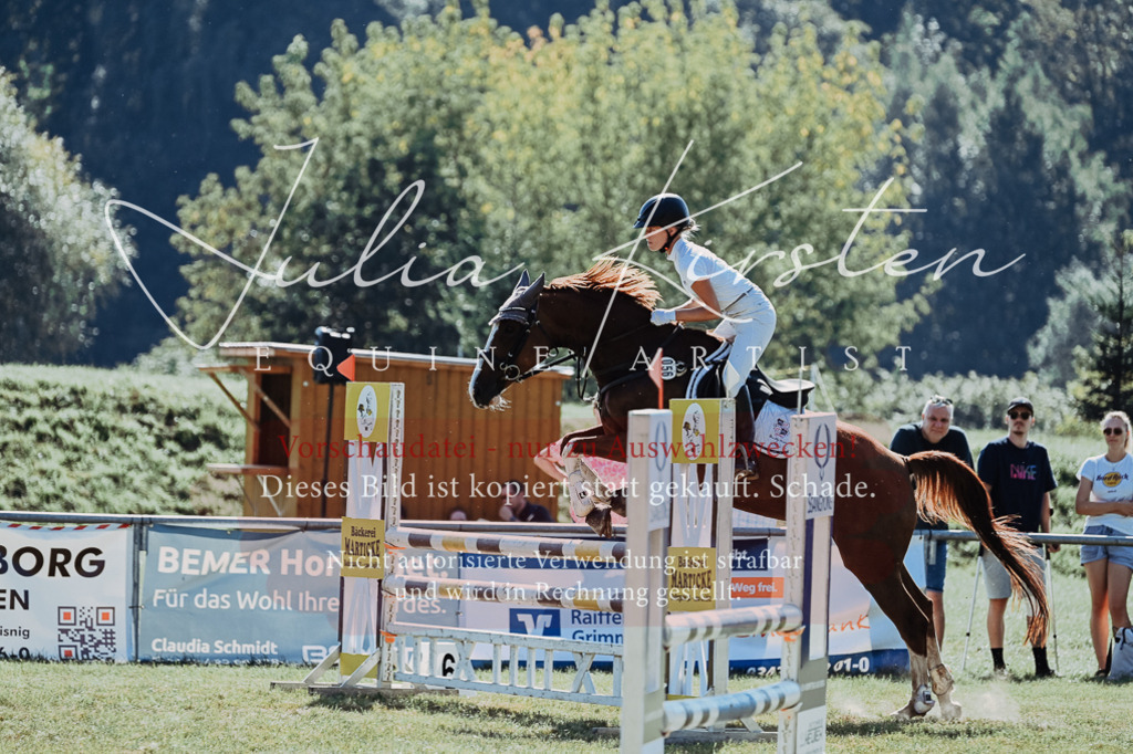 DSC_5613 | Pferde- und Turnierfotografie in Westsachsen. Pferdeportraits, Auftragszeichnungen und intuitive Kunst.