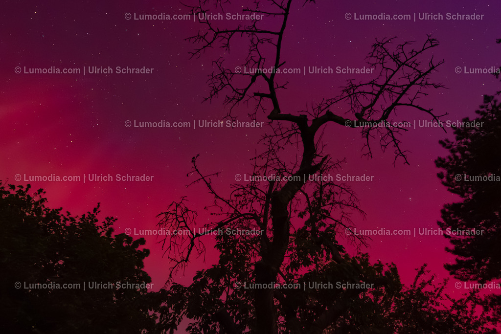 10049-13241 - Polarlicht am Huy | Stockfoto und Bilderpool mit Bildmaterial aus Deutschland, dem Harz, Halberstadt, Quedlinburg, Wernigerode und weltweit. Qualitativ hochwertige und professionelle Fotos anschauen und kaufen. - Realisiert mit Pictrs.com