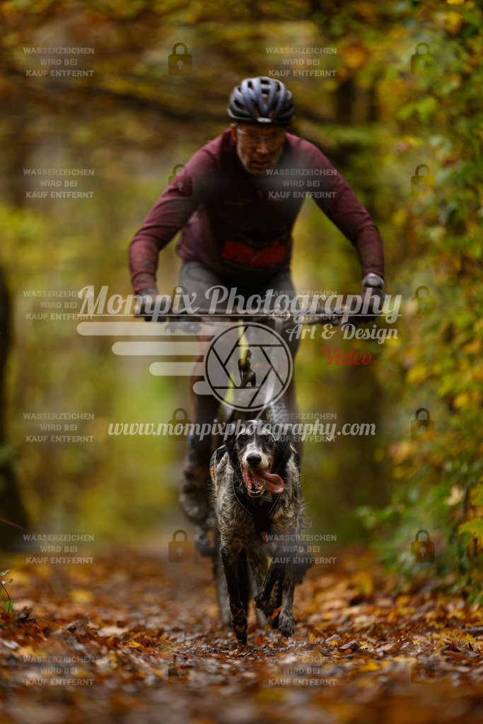 MompixPhotography_CD7S_DI_Bike-88 | mompixphotography