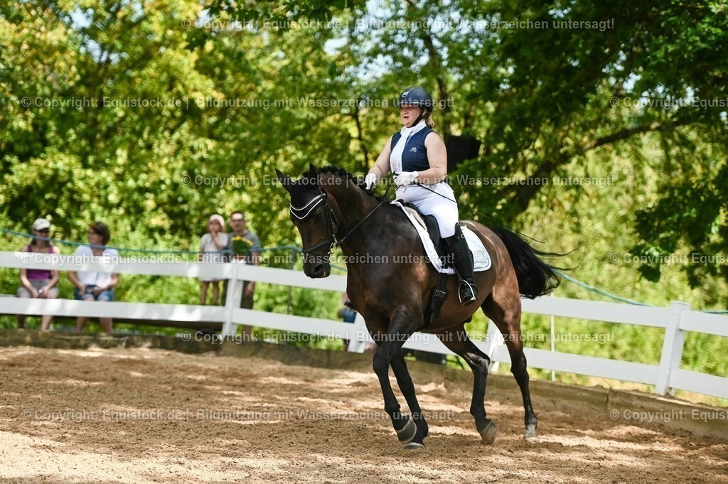 20230715_02_Dressurreiterprüfung Kl.L_0369 | equistock