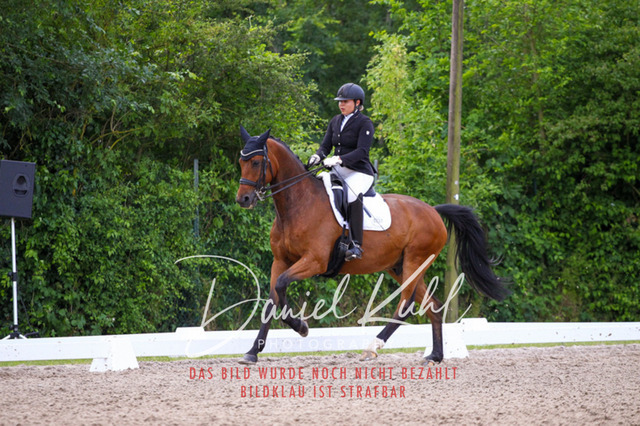 DKP41111 | Turnierfotos kaufen im Webshop von Daniel Kuhl Photography – entdecke professionelle Reitsportfotos aus Turnieren & Events. Hochwertige Turnierbilder online bestellen & sichern. Jetzt Fotos von Reitsportturnieren kaufen!