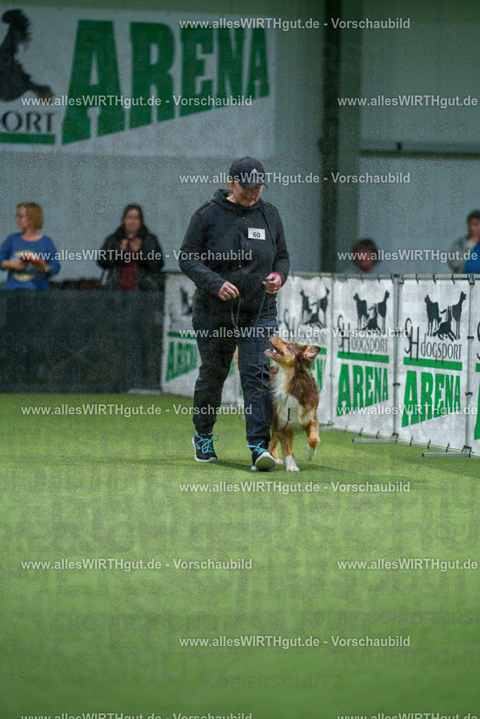 7R507223 | Professionelle Tierfotografie in Mönchengladbach von Daniel Wirth (allesWIRTHgut). Liebevolle & natürliche Bilder von Hunden & Katzen für unvergessliche Erinnerungen.