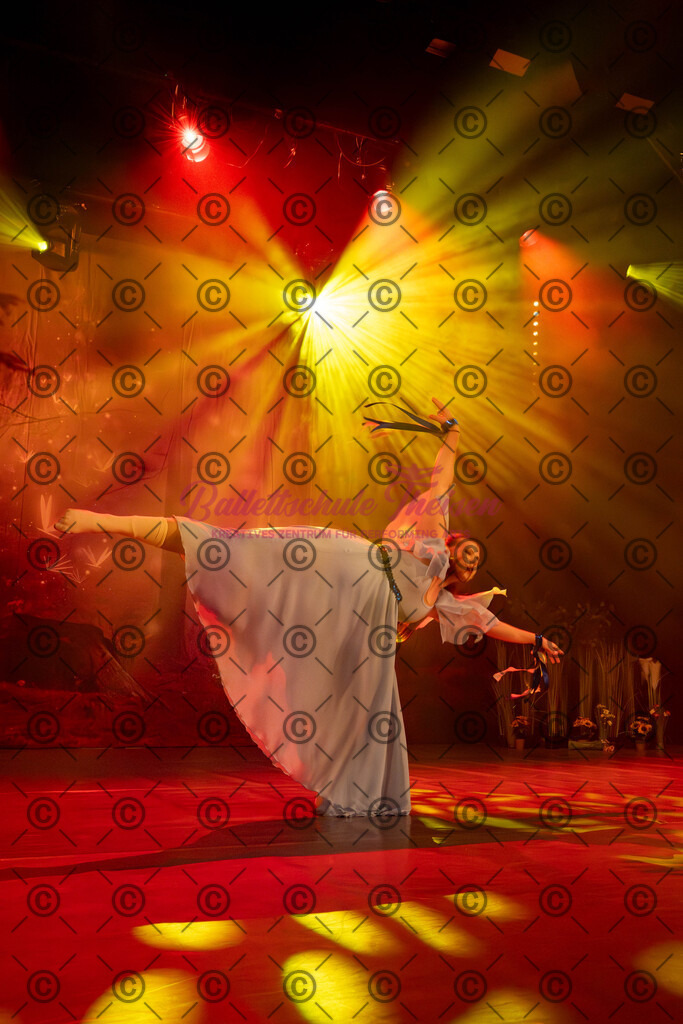 Ballettaufführung-309 | Bildershop Lem'n Entertainment - Realisiert mit Pictrs.com
