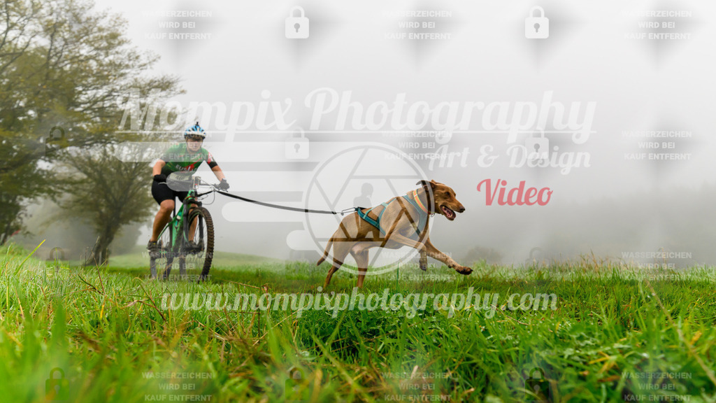 MompixPhotography_20TSB_E5_Bike-108 | PayLife