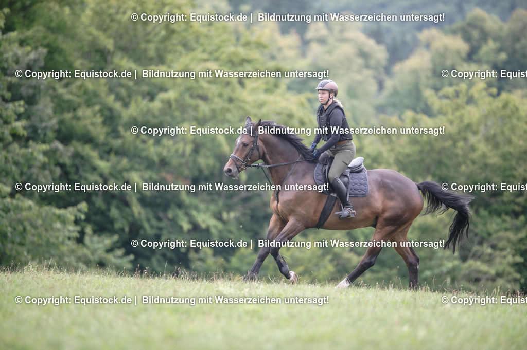 20250726_Vielseitigkeitslehrgang-Marbach_0651 | Foto: Thomas Hartig