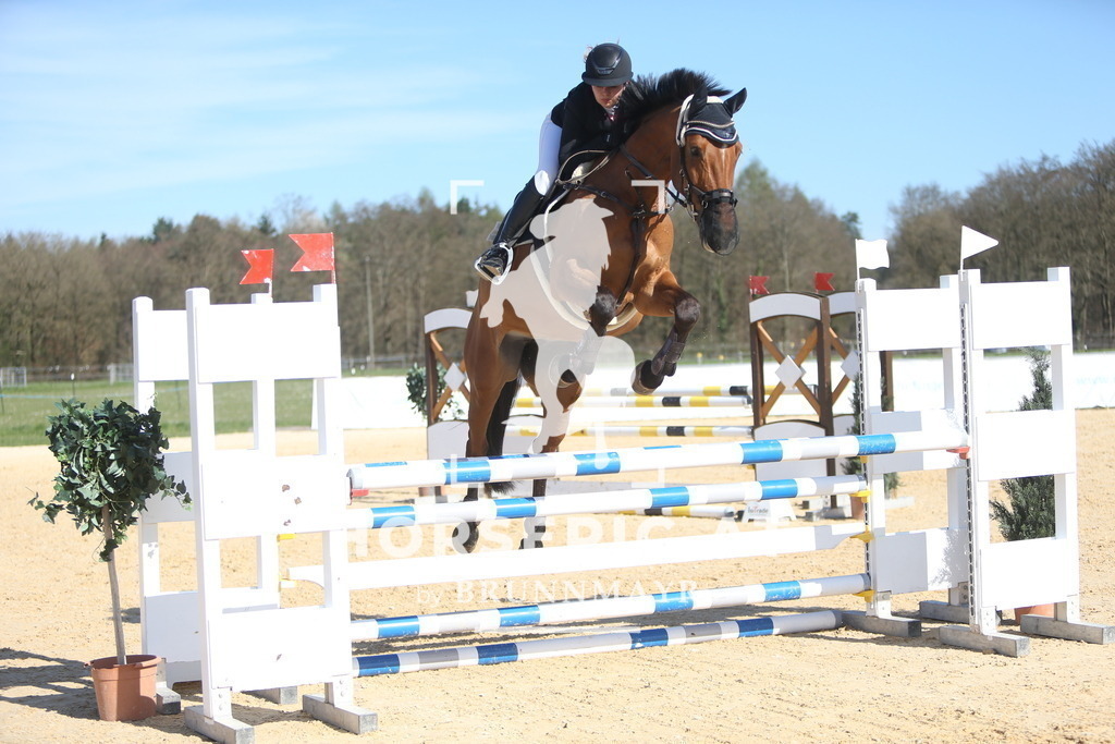 DL2Q5723 | Willkommen bei Brunnmayr - Design & Fotografie – Ihrem Spezialisten für Reitturniere und Pferdeveranstaltungen in Oberösterreich, Salzburg und Bayern! Seit über 17 Jahren sind wir leidenschaftlich dabei.