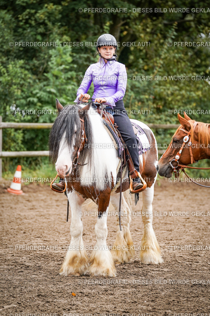 DSC03933 | Pferdegrafie