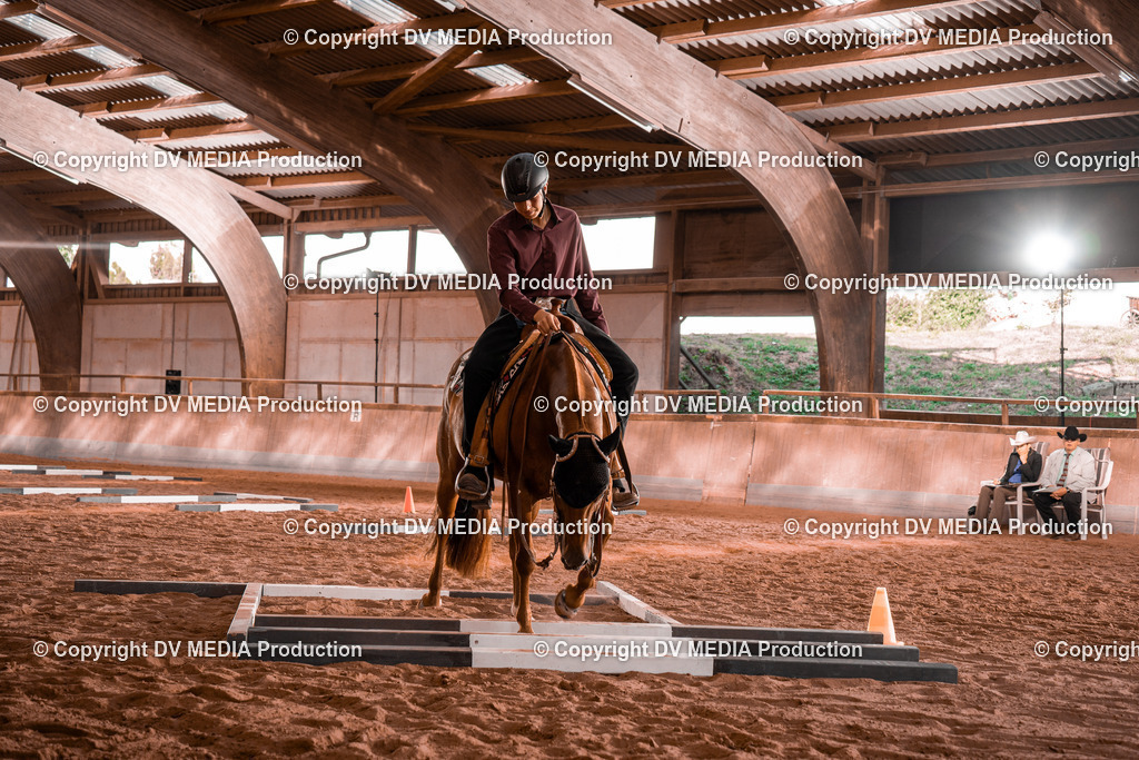 NE300106 | dv-media-shop - Realisiert mit Pictrs.com