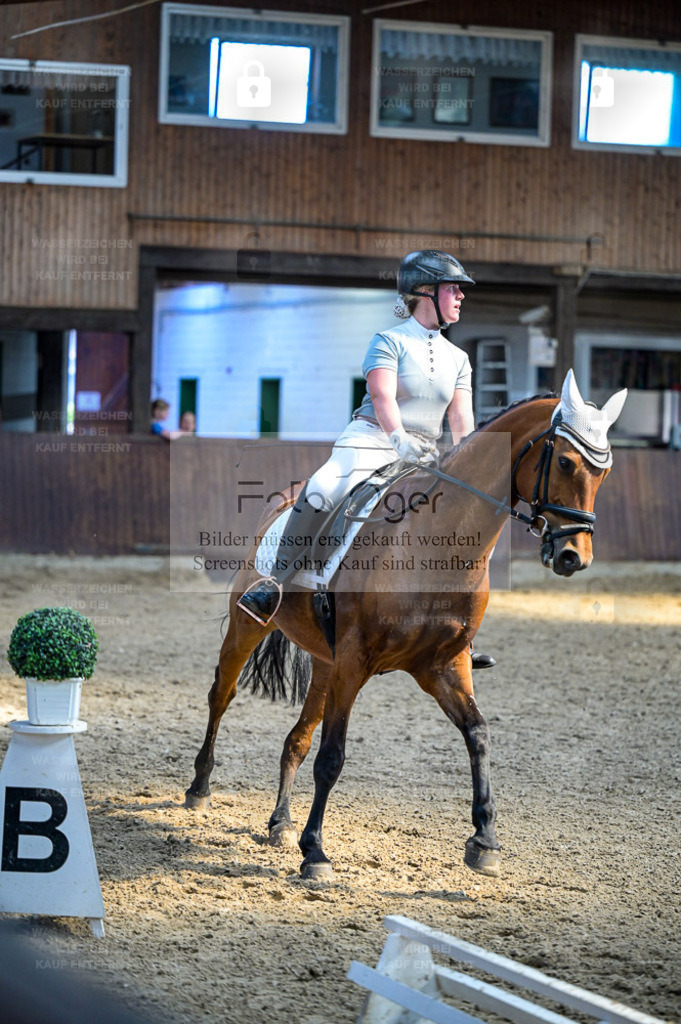 Reitturnier Voxtrup | Entdecke hochwertige Reitturnierfotos von Foto Oger. Professionell, emotional und authentisch – jetzt Lieblingsmomente im Shop bestellen. - Realisiert mit Pictrs.com
