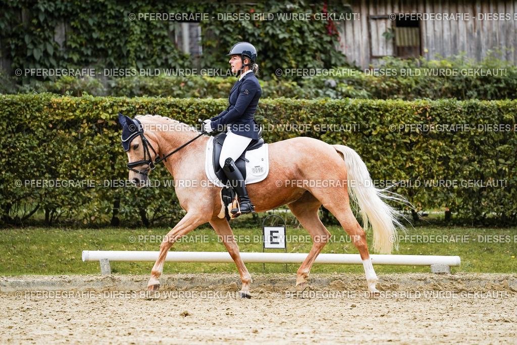 DSC08953 | Pferdegrafie