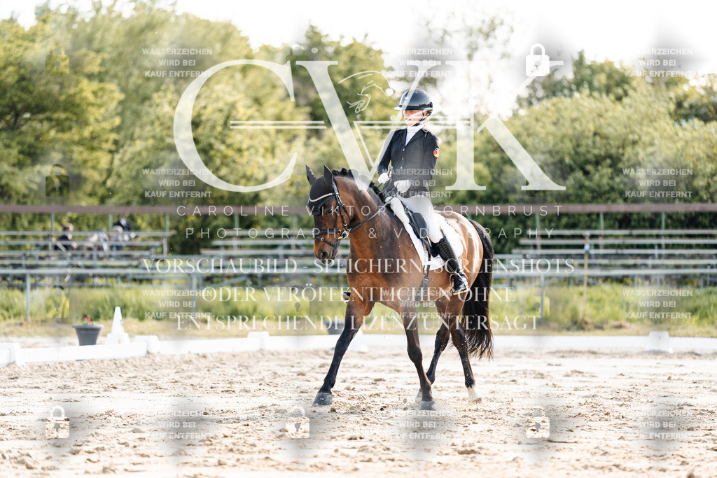 CK909527 | Turnierfotografie Pferdefotografie Trier Rheinland-Pfalz Pferdesport Reitsport Tierfotografie Sportfotografie Pferdevideo Pferdevideografie Equestrianvideography equestrianphotography  - Realisiert mit Pictrs.com