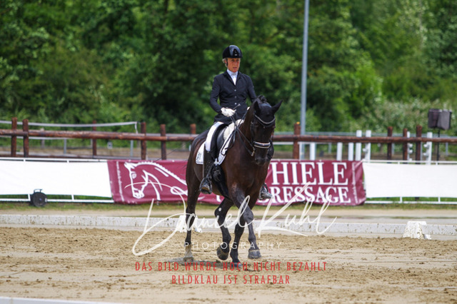 DKP40672 | Turniersportfotografie; Pferdefotografie; Dressurfotografie