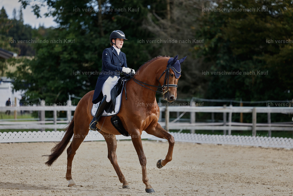 6-143-AMATUER-DRESSUR S_  -StoibPH-3432 | working equitationturnier fotograf videograf stoibphotography marixx film working equitation deutschland reitsport turnierfotografie eventfotografie equestrian events