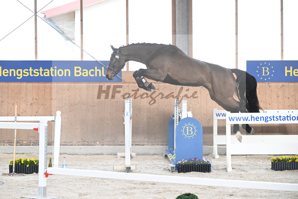 Kat-Nr. 40 Emma von Imhoff v. Cornet Obolensky_Imhoff_5250582 | hf-fotografie - Realisiert mit Pictrs.com