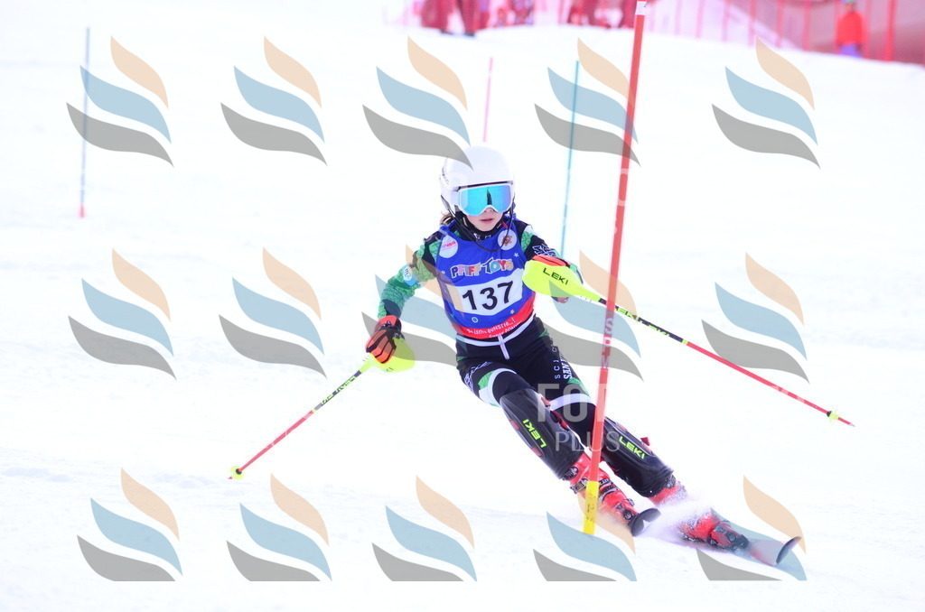 B1824 | holidayphoto