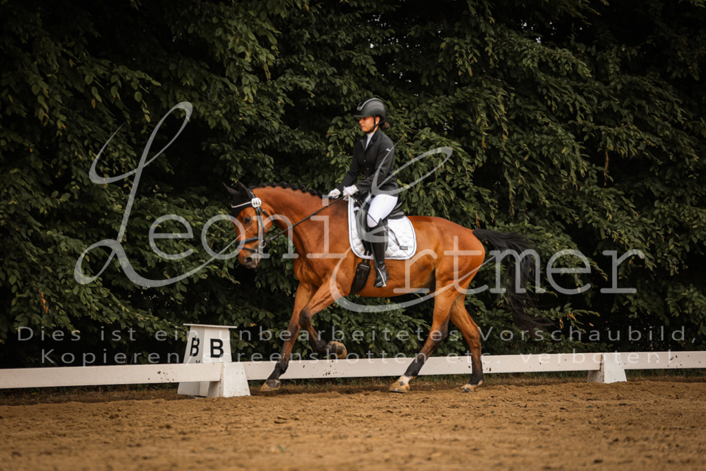 DoDrA00211 | Leoni Ertmer Photography - Realisiert mit Pictrs.com