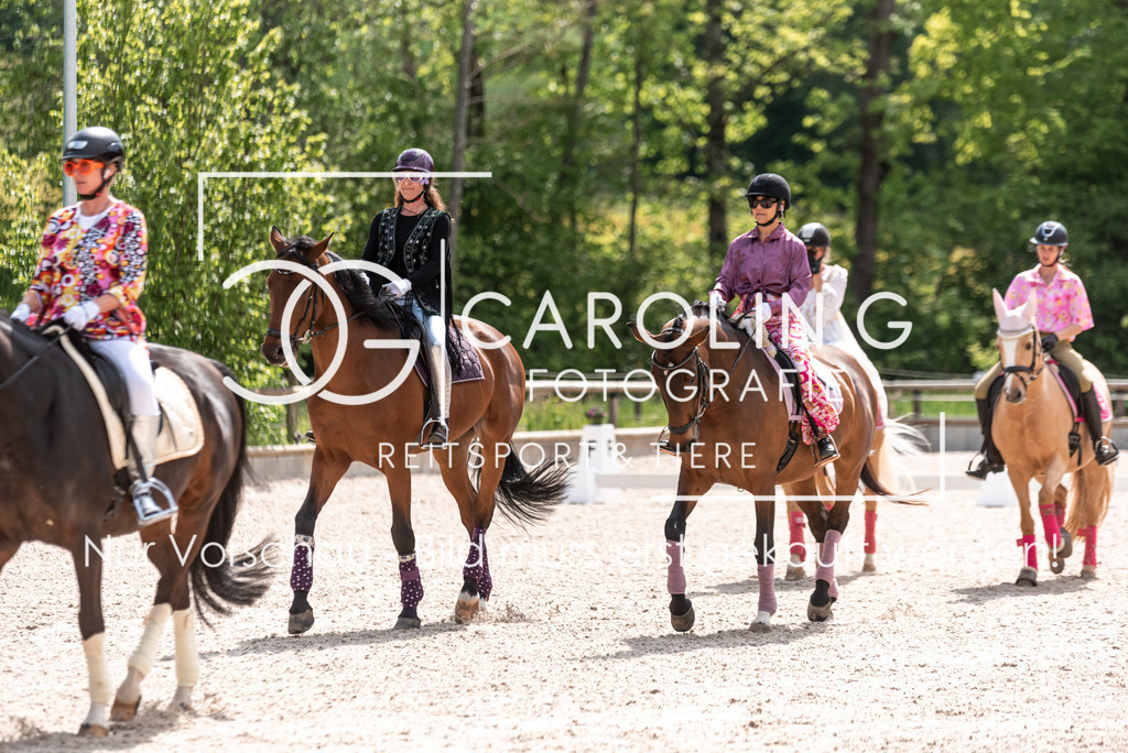 DSC_1499 | Turnierfotografin Carolin Gieschke, Turnierfotografie Carolin G Fotografie, Turnierfotos Kirchheim/Teck, Esslingen, Stuttgart, Bodenseekreis
