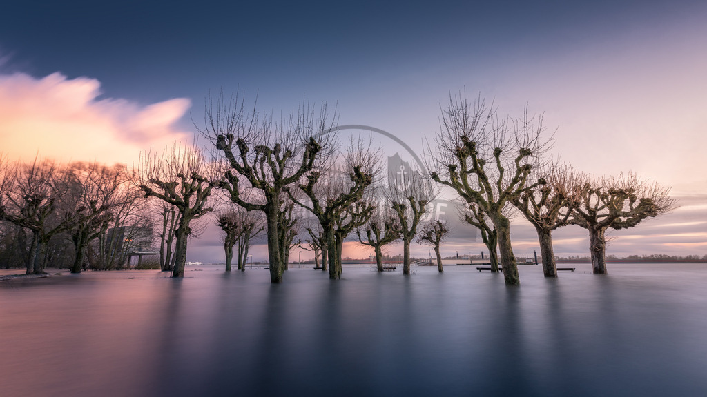 Hamburg-by-stativkunst.de-037 | Exklusive Hamburg collagen, tolle Segelbilder und viele weitere tolle Motive auf Leinwand, Poster, Alu-Dibond, u.v.m. findet Ihr bei uns auf hamburgbild.de. Findet Euer Wandbild für Euer Zuhause, Büro oder die  Praxis…. - Realisiert mit Pictrs.com