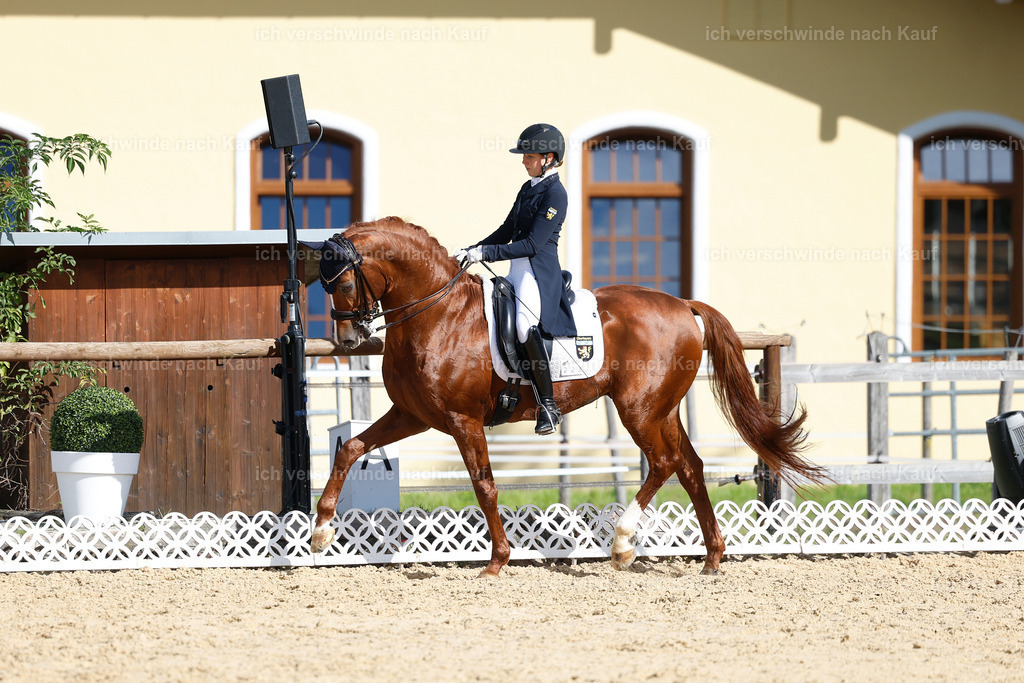 09_2-223-DRESSUR  S_  -StoibPH-5789 | working equitationturnier fotograf videograf stoibphotography marixx film working equitation deutschland reitsport turnierfotografie eventfotografie equestrian events