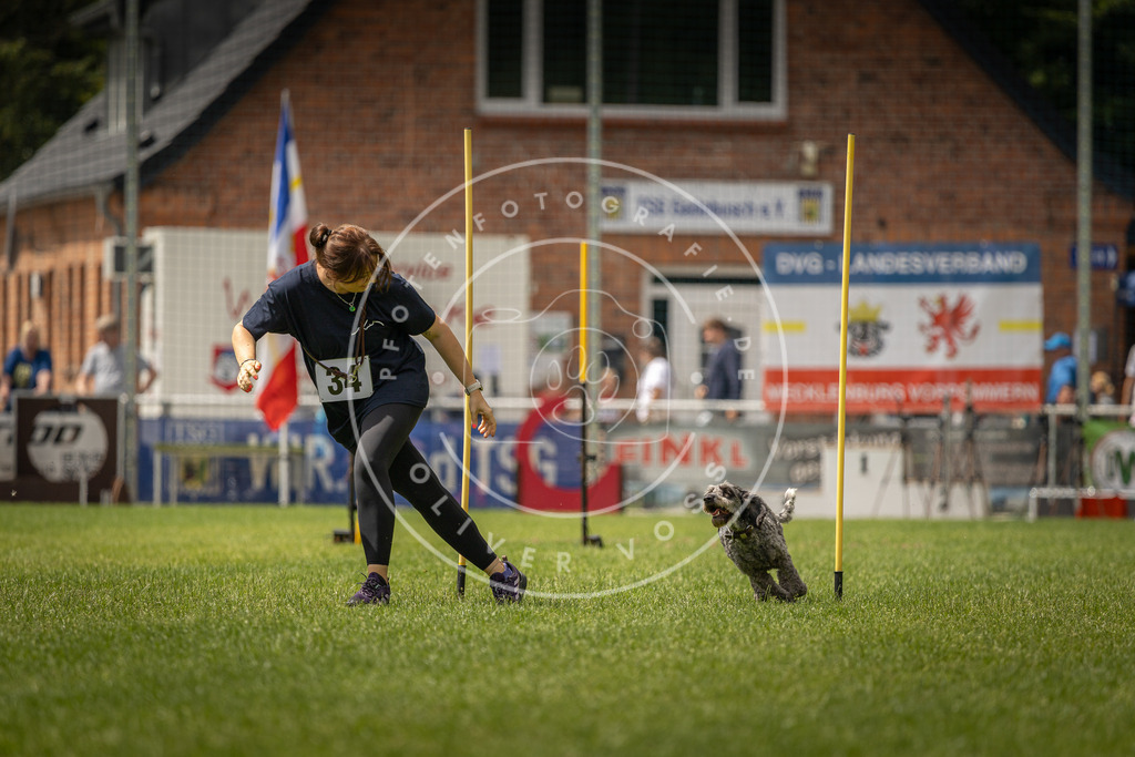 Pfotenfotografie_DV3A2477 | Hundefotografie, Tierfotograf, Pfotenfotografie, Fotoshooting Hund, Hunde Portrait, Hundesport, Hundeportraits, Heideshooting, Hunde, Sportfotograf, Hundefotograf, Turnierhundsport, THS,  - Realisiert mit Pictrs.com