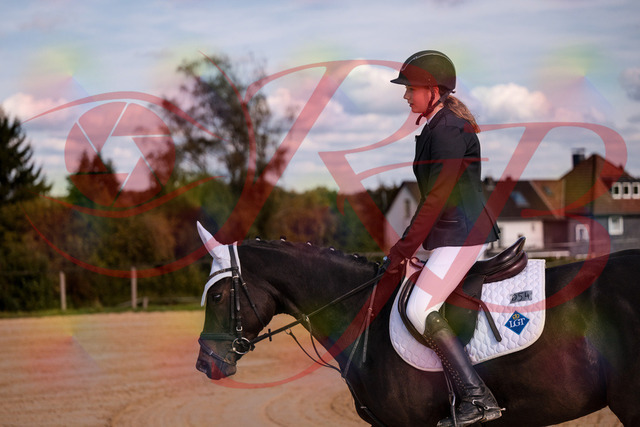 2026_10_03_Siefer-Hof_145807_Z81_40126089 | Professionelle Reitsport-, Turnier- und Eventfotografie von Robert Broda. Galerien mit ausgewählten und bearbeiteten Bildern direkt online ansehen und bestellen.