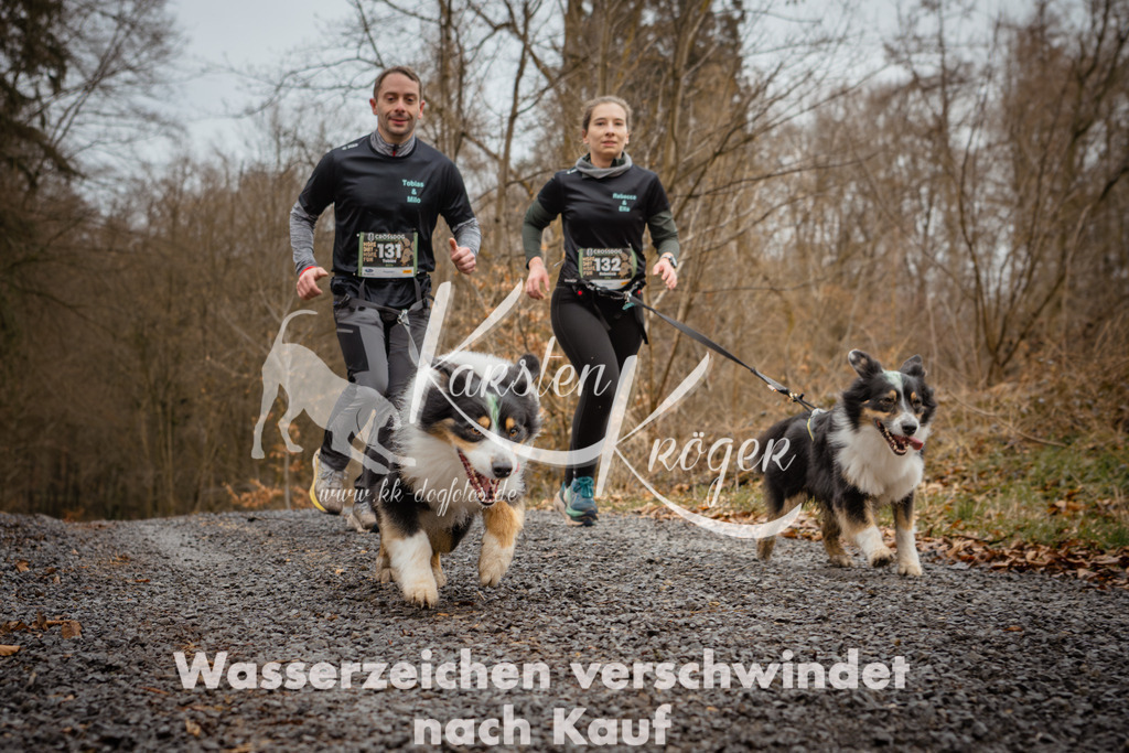 1043_ZZ96751 | kk-dogfotos